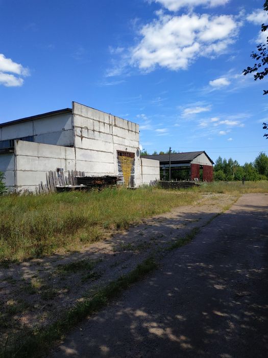 Комерційна нерухомість