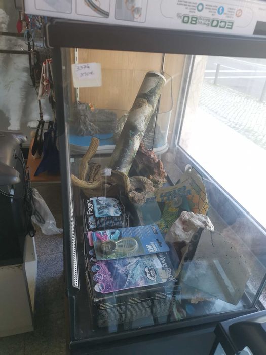 Aquários, tartarugueira e terrario