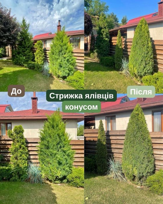 Садівник у Дніпрі | Догляд за садом та ділянкою | Досвід 8 років