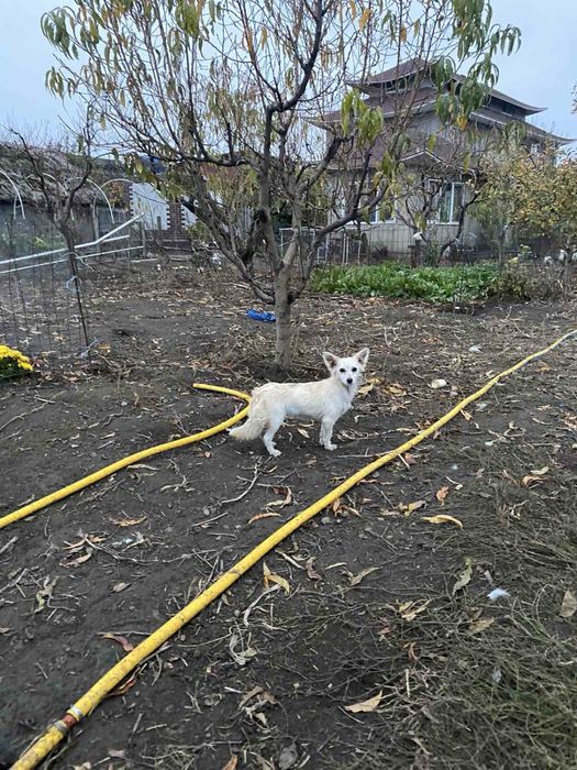 Чудом выжившая девочка