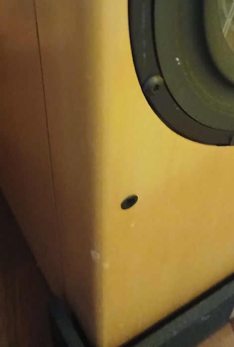 Vienna Acoustics Beethoven Concert Grand