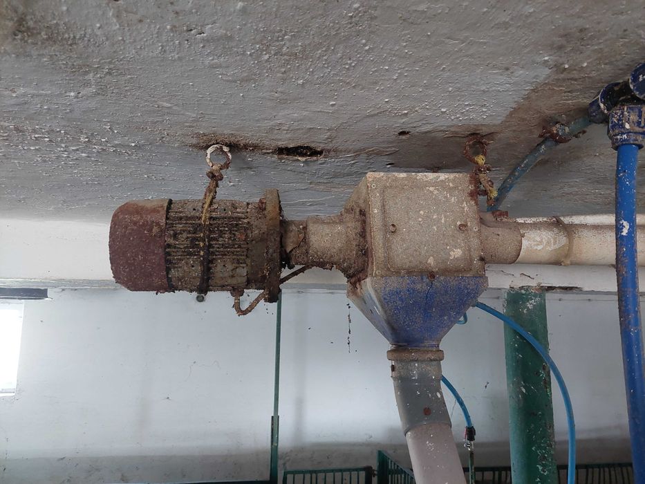 Paszociąg do chlewni