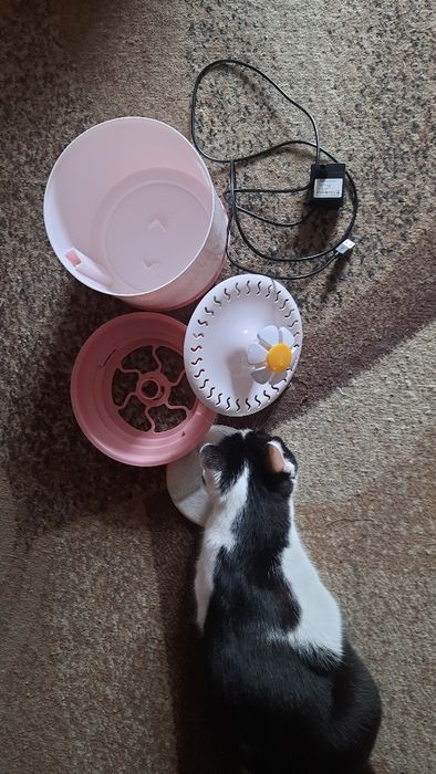 Фонтанчик- поїлка для котиків