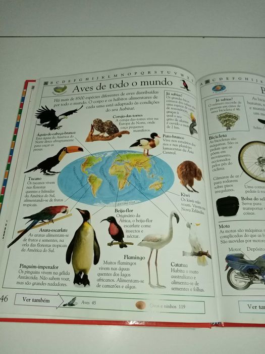 Enciclopédia Infantil Ilustrada