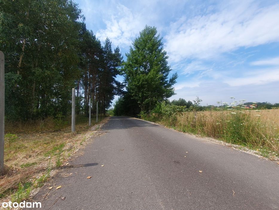 Działka budowlana o pow. 1277 m² Wymysły - Widok 2