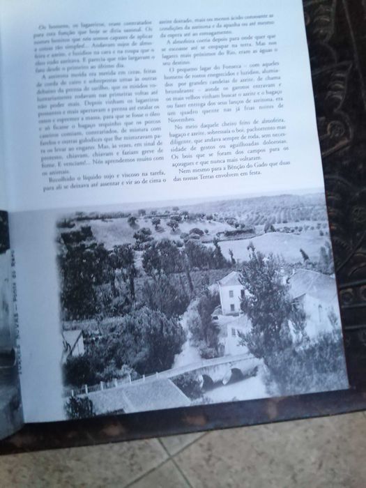 pinceladas torrejanas , joaquim rodrigues bicho , 2000