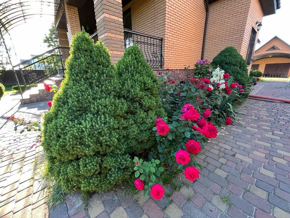 Будинок 260 м, с. Гора, 10 км Київ   ВЛАСНИК