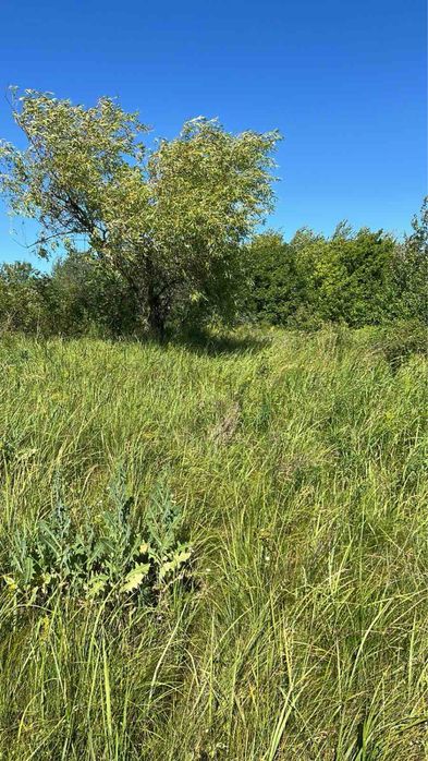 С. Левків продам земельну ділянку під будівництво