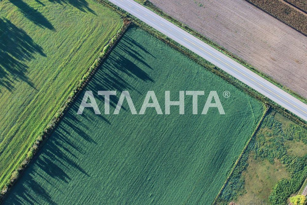 Ділянка в с розівка