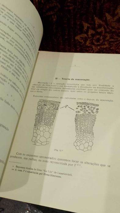 Tecnologia do Linho 1950 Manuel D´Oliveira Matos Sequeira