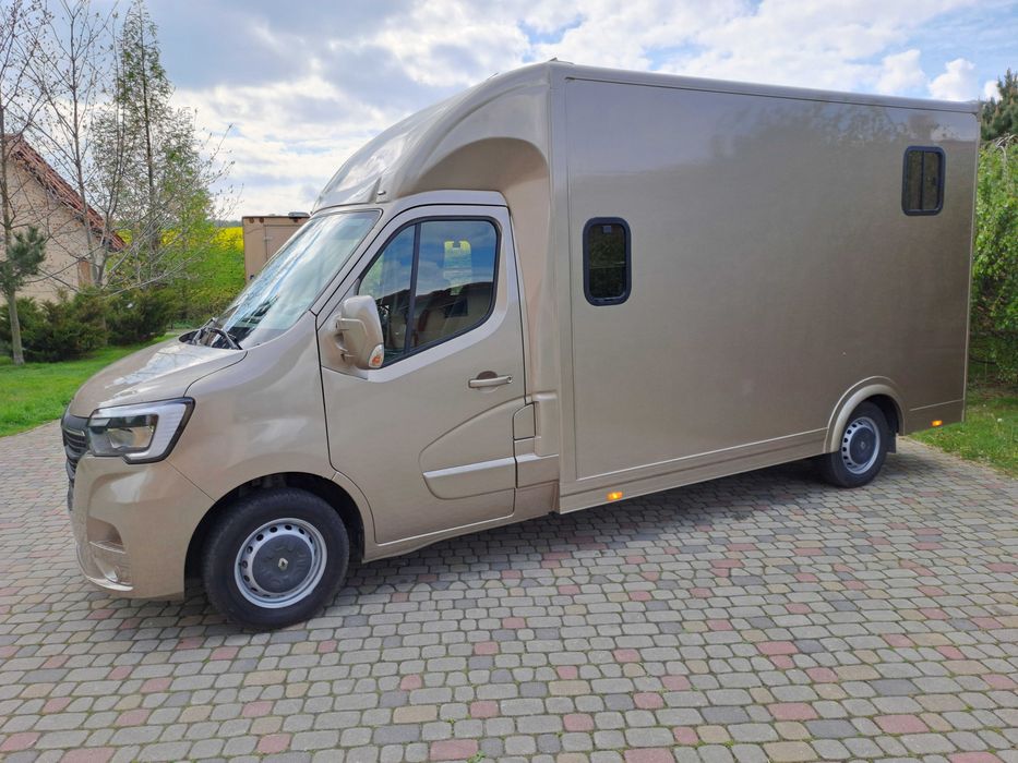 Renault Master - koniowóz - automat - nowa zabudowa - gwarancja