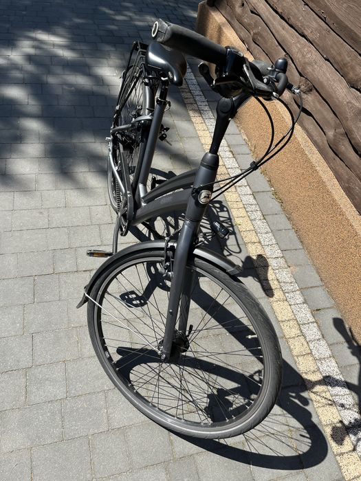 Rower Gazelle Chamonix S8