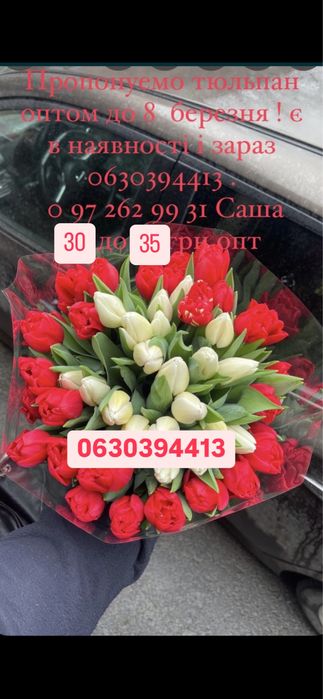 тюльпан до 14.02—8 марта