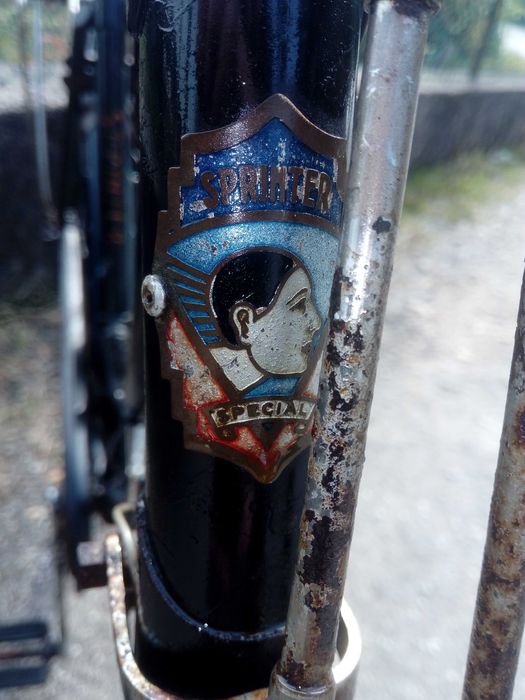 Bicicleta Pasteleira de Senhora