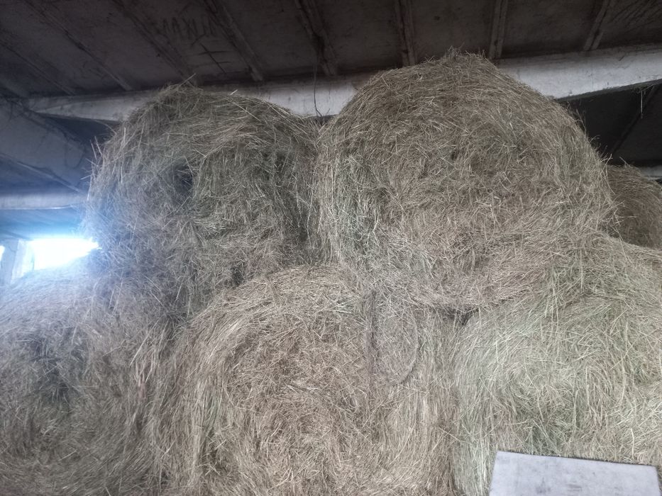 Sprzedam siano w belach