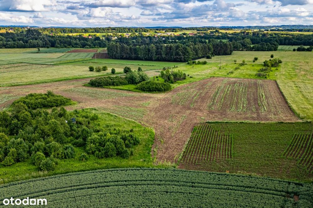 Działka 57 arów – idealna pod Krus – Palikówka - Widok 3