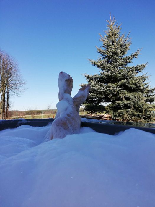 NOWA Mobilna bania, mobilne jacuzzi, balia Siedlce - wynajem jacuzzi