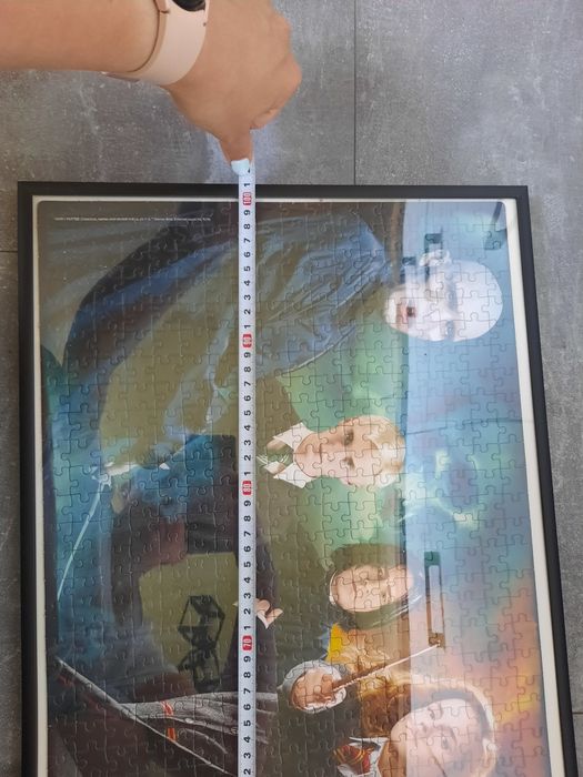 Obraz z puzzli Harry Potter