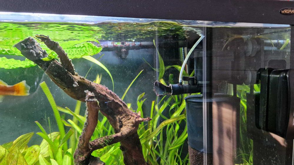 Akwarium 200 L + 60L