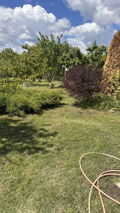 Продам будинок в Потіївці. Якщо про покій, то це саме тут.