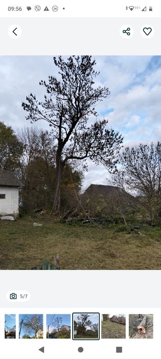 Зрізаю проблемні аварійні дерева