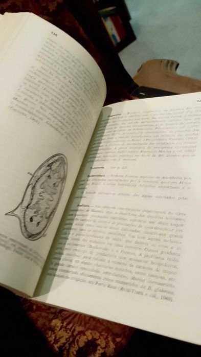 Agentes e Vectores Animais de Doenças Humanas - E. C. Faust