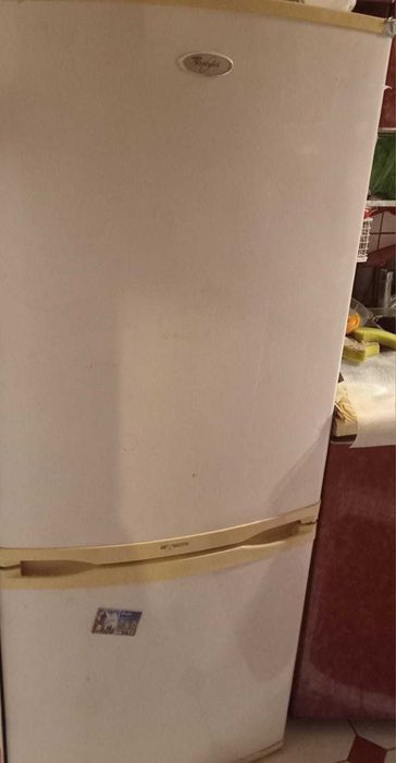 Lodówka Whirlpool 145 cm x 60 cm