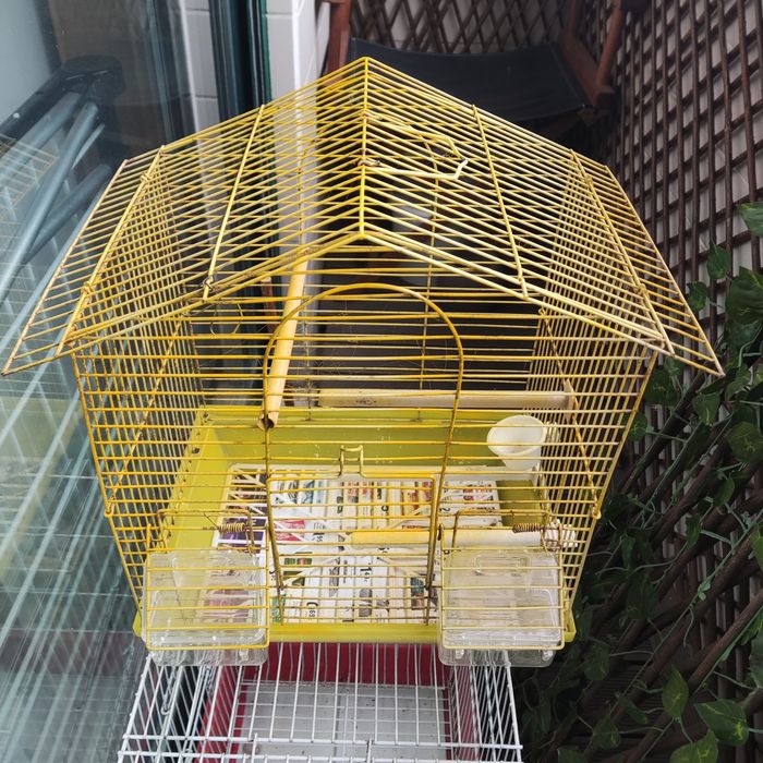 Vendo gaiola usada
