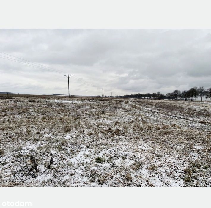 Działka budowlana Cybinka 961 m² z wydanymi warunkami zabudowy - Więcej