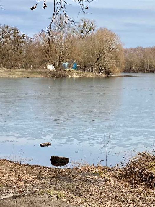 Продам земельну ділянку Шаровка Богодухівський район (169139)