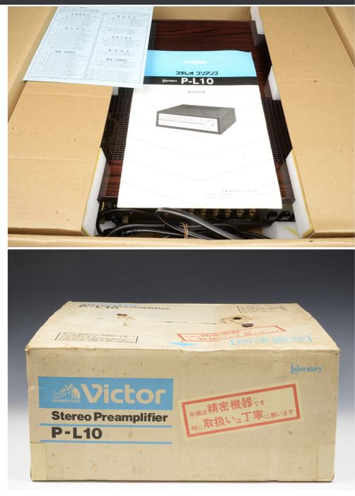 Усилитель двублочный Victor P L10 & M L10