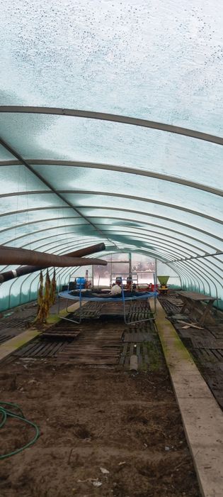 Namiot foliowy 7x30 z piecem , solidny