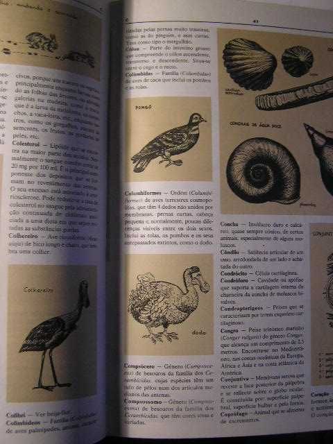 dicionario de zoologia ilustrado e outros livros