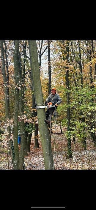 Чистка ділянок, благоустрій території, вивіз, подрібнення гілок
