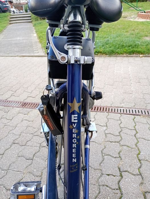 Holenderski rower elektryczny Herbin