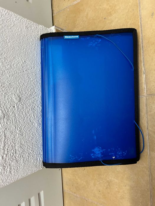 Pasta de arquivo em azul com vários separadores426022136237926402