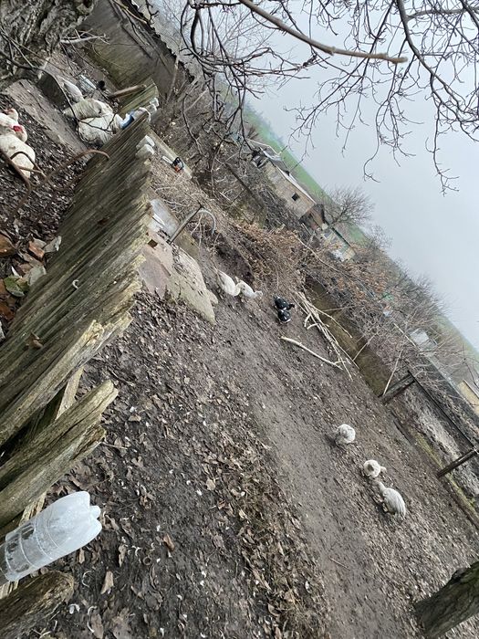 Будинок в Станіславчику