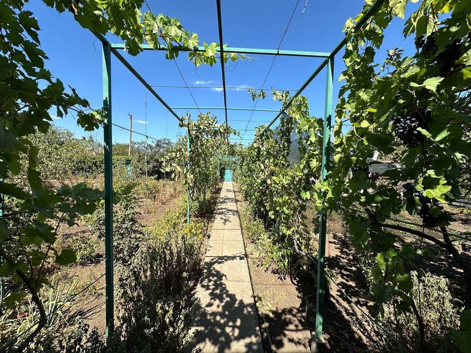 Продажа уютной дачи в Алтестово