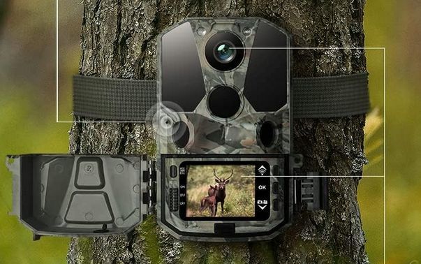 Fotopulapka kamera leśna noktowizyjna CEYOMUR CY65 40MP WiFi 4K