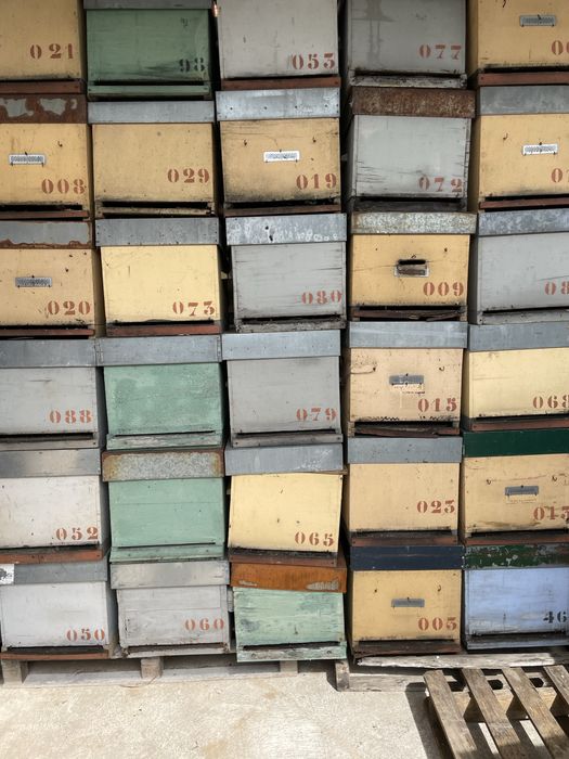 Colmeias usadas em bom estdo