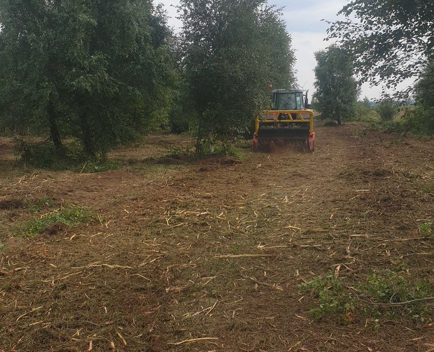 wycinka rekultywacja koszenie mulczowanie czyszczenie działek