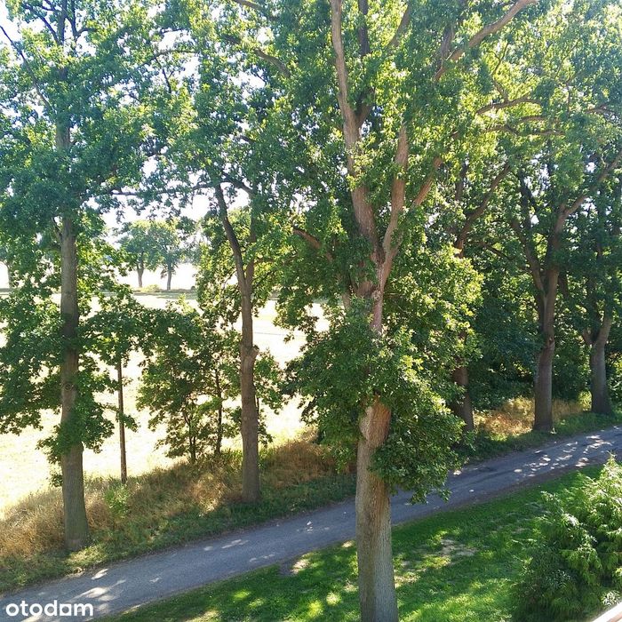 Mieszkanie 3 pokaje
