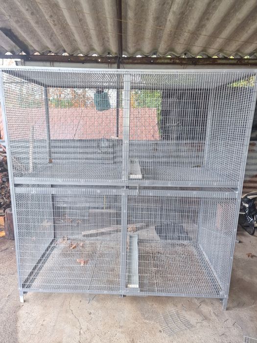 Voadeira aves grande