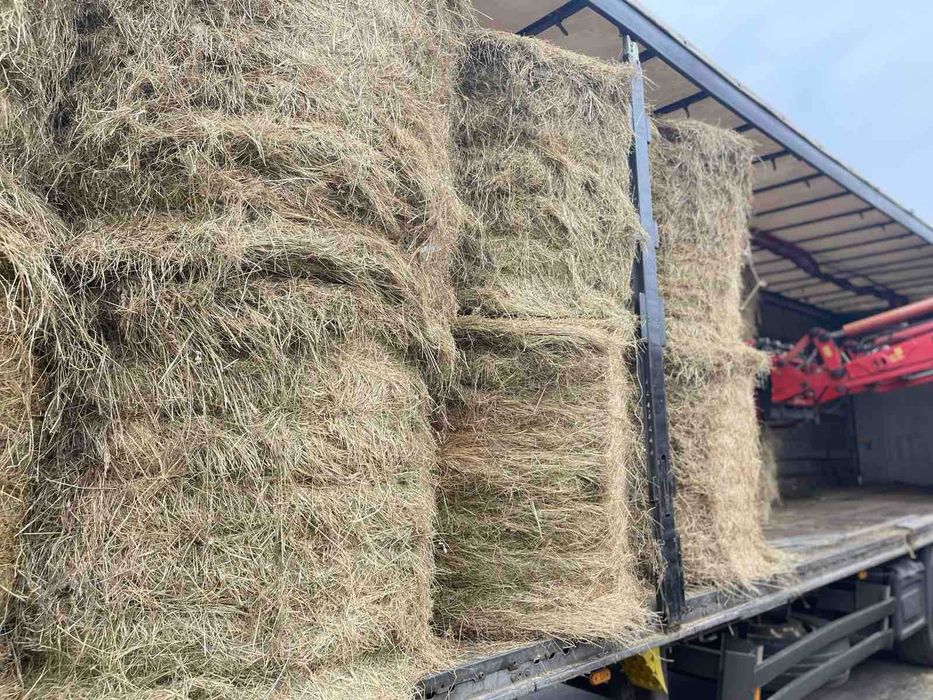 słoma, Siano, sianokiszonka, bele