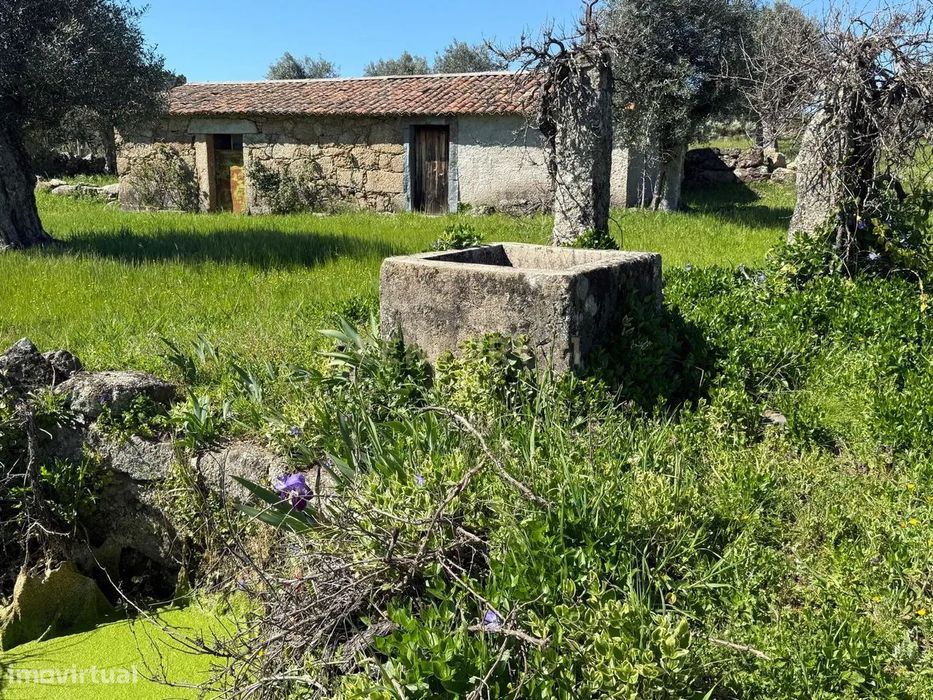 Fantástica Quinta com construção em pedra