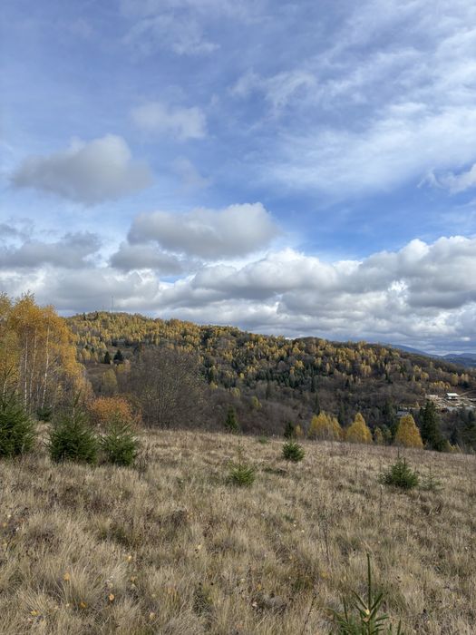 Продам земельну ділянку