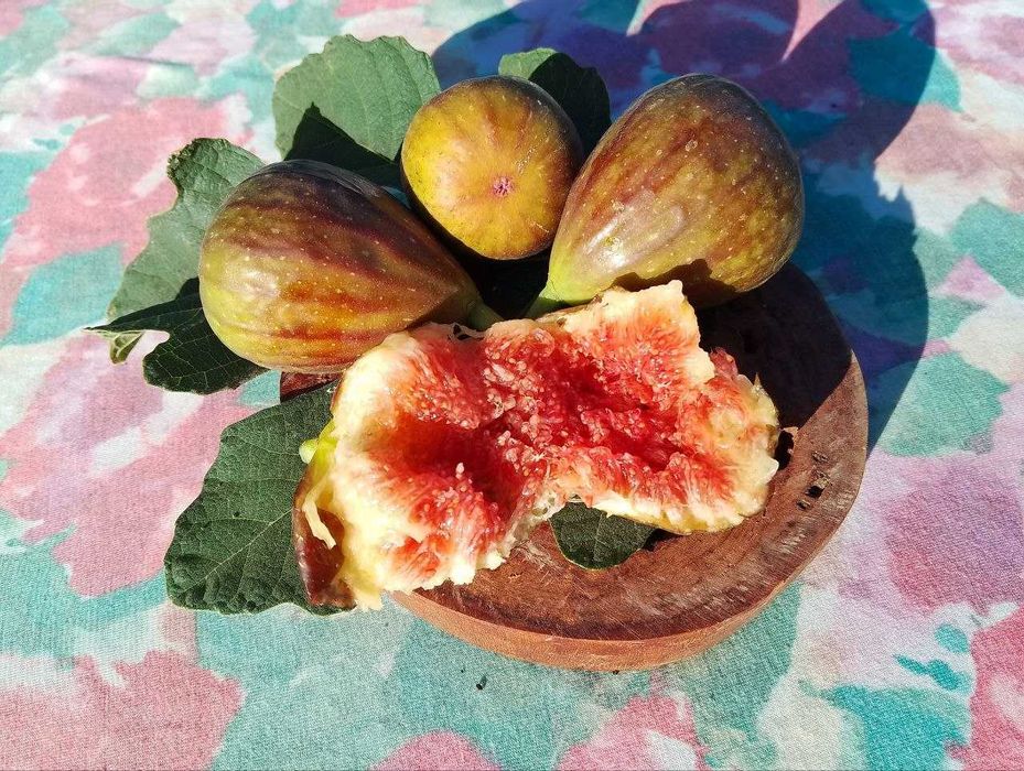 Пастила фруктово-ягідна без цукру, власного виробництва.