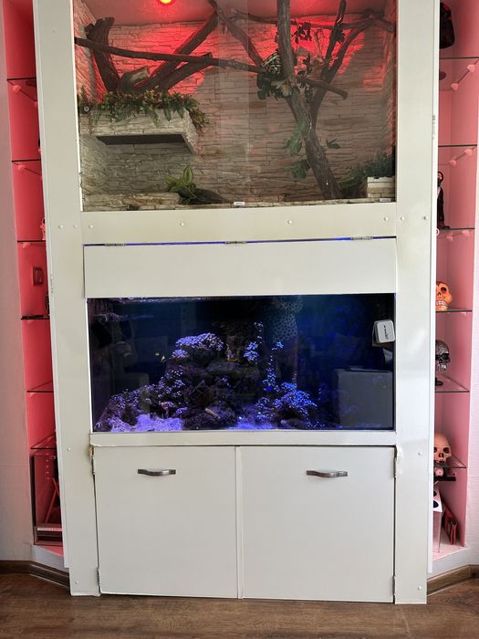 Akwarium morskie do zabudowy