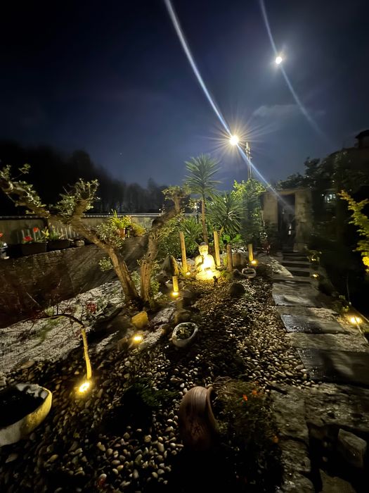 Paisagismo/Jardinagem