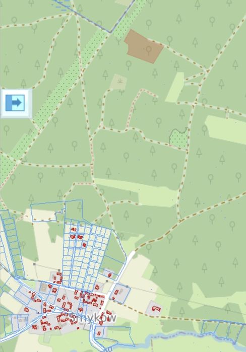 Sprzedam 1.2200 ha lasu Smyków gm Raków